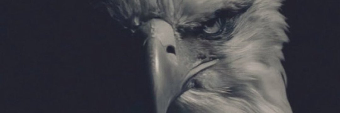 Martha de Restrepo banner