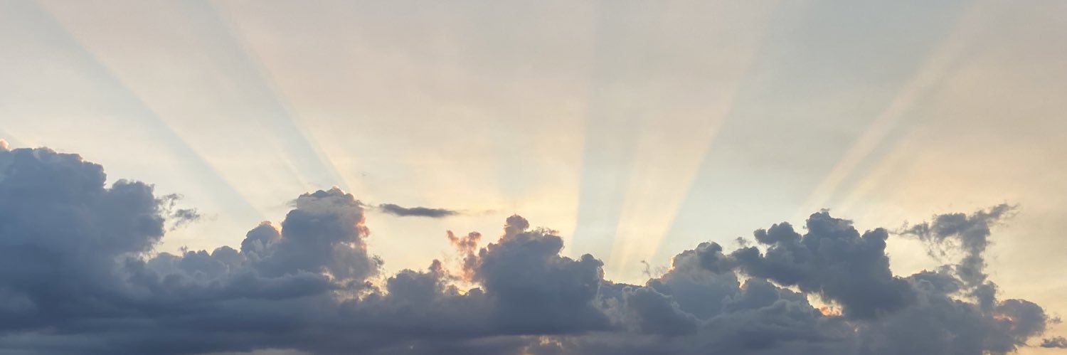 cecesherly's profile banner image
