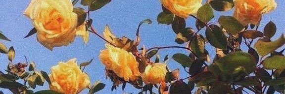 andiebrd's profile banner image