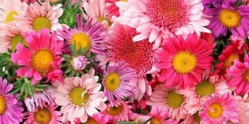mo12346892's profile banner image