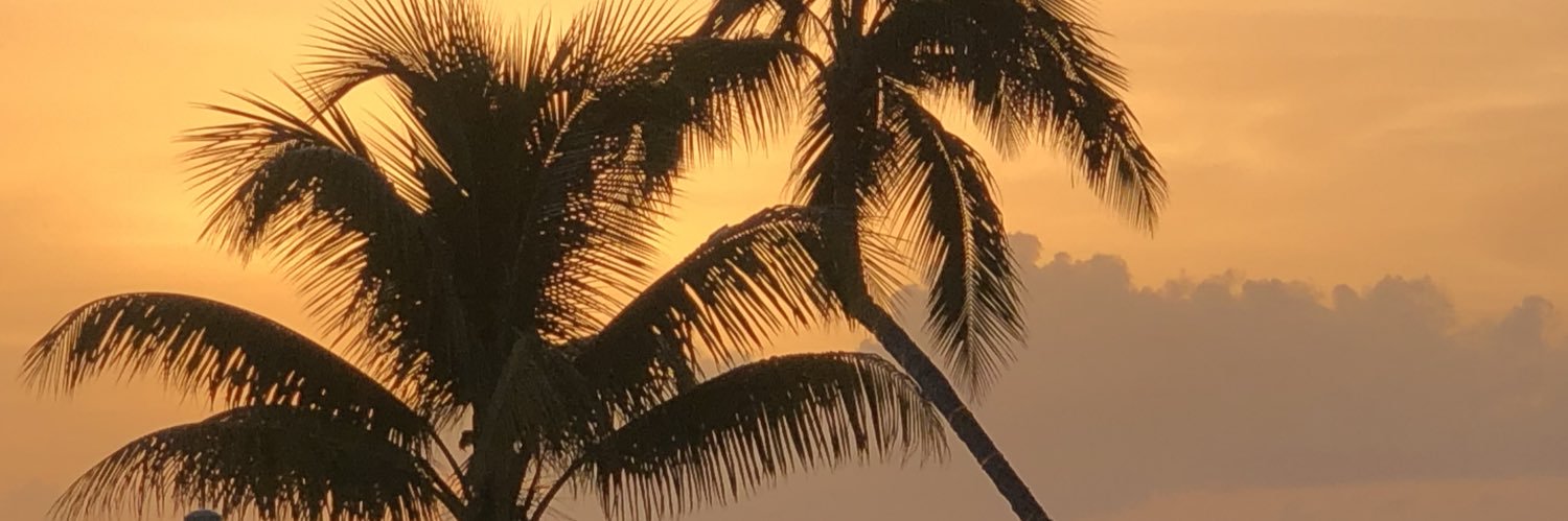 Vincent__17's profile banner image