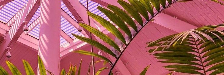 annisafrkt's profile banner image