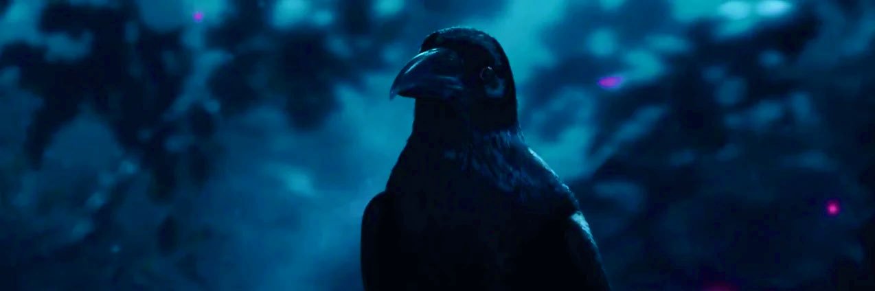 intoaman's profile banner image