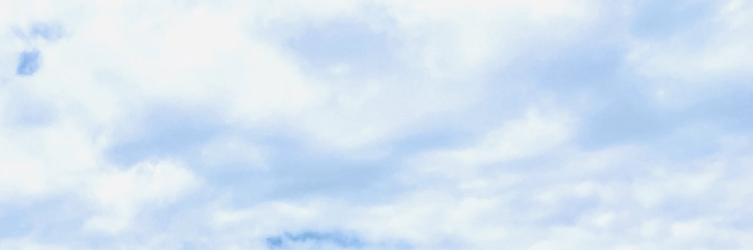 nfmlwr's profile banner image