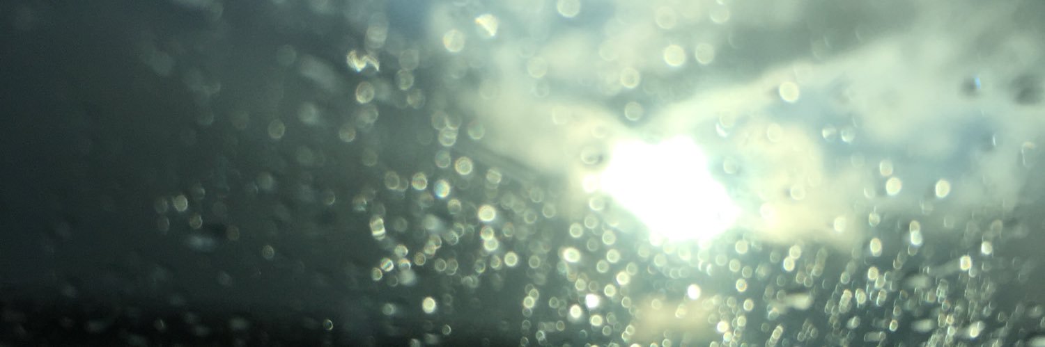 ShyborgBeauty's profile banner image