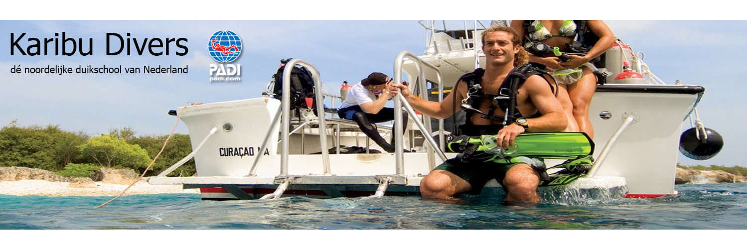 Karibudivers's profile banner image