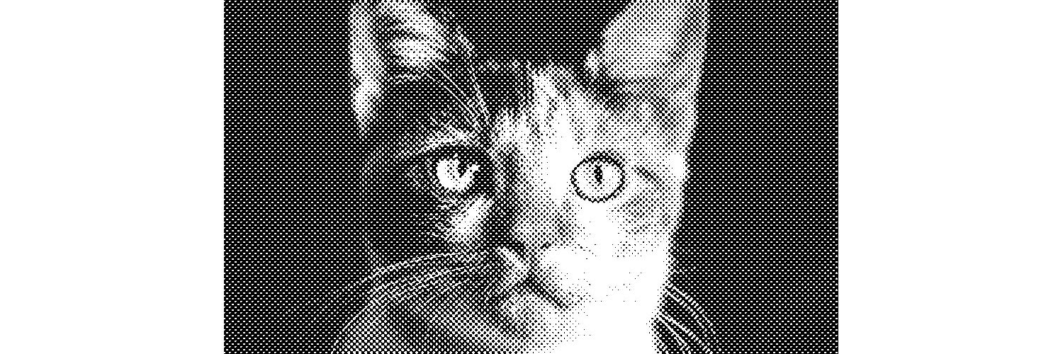 Mojoejoe banner