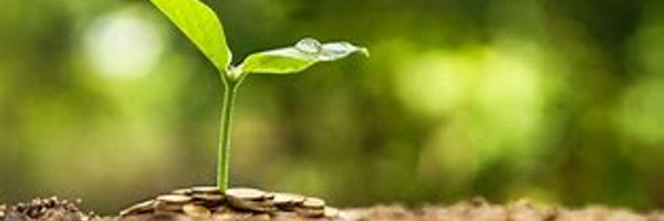 julesw2505 Profile Banner