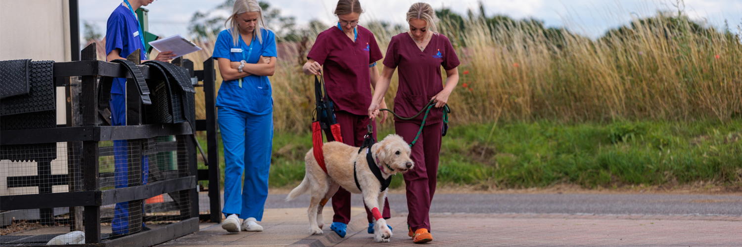 Fitzpatrick Referrals banner