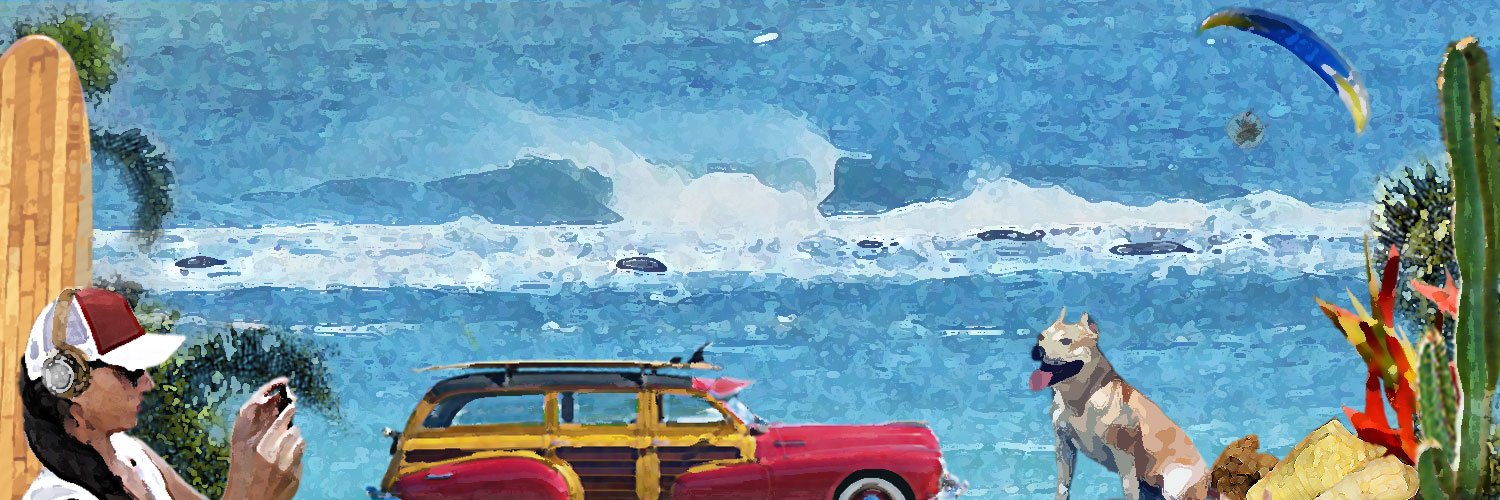 surfrdo's profile banner image
