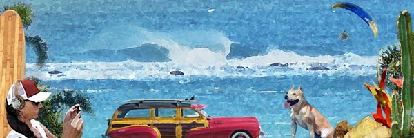 surfrdo Profile Banner