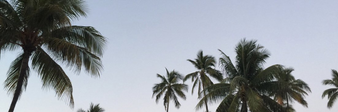 amandine_dvm's profile banner image