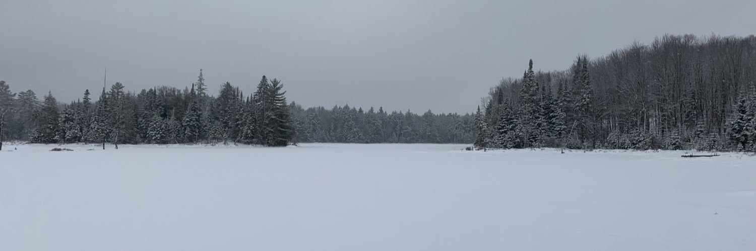 patcyr's profile banner image