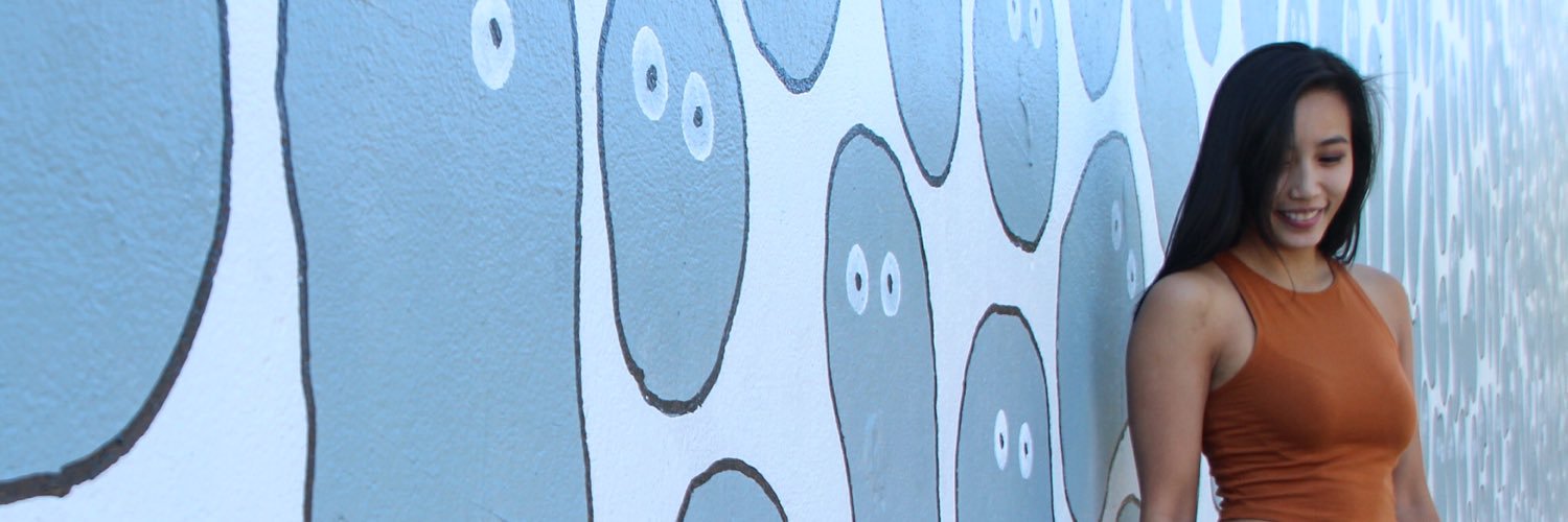 Pika_Vu's profile banner image