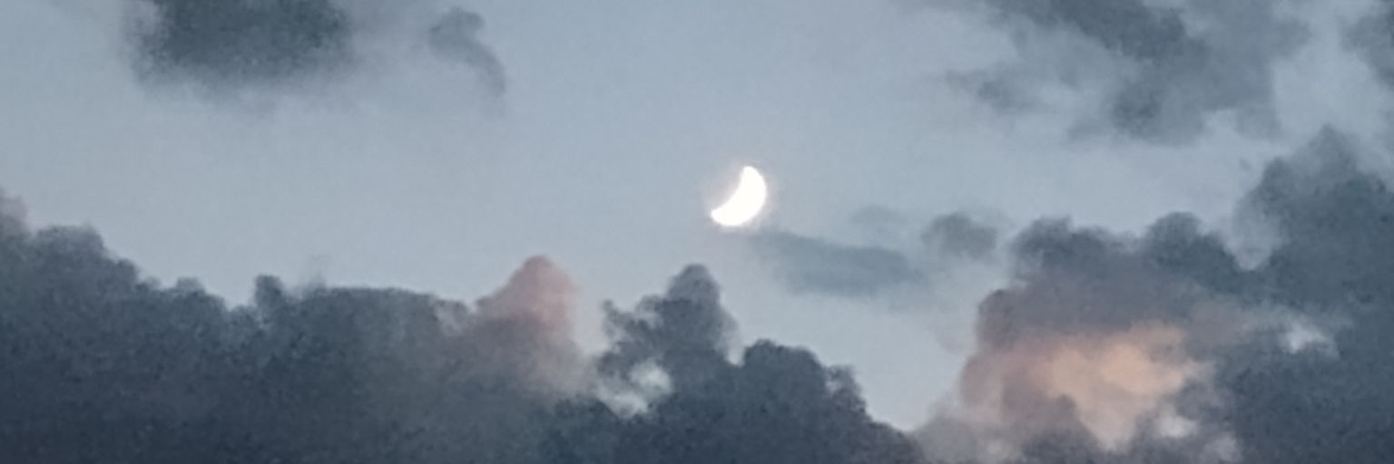 CoraDagger's profile banner image