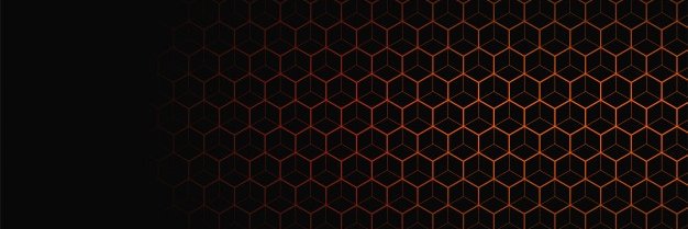 roman_foucault's profile banner image