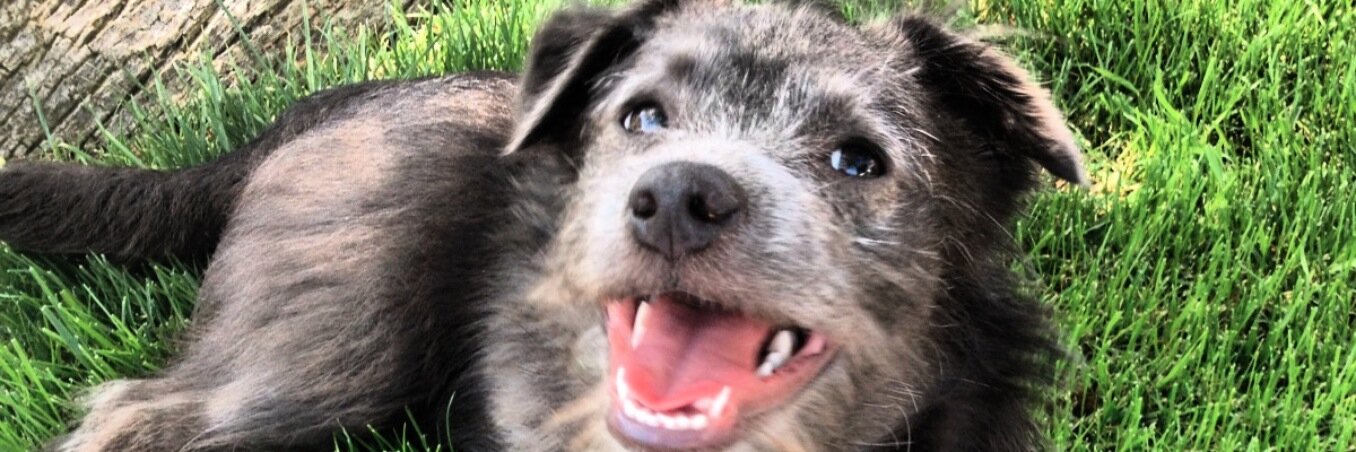FastLifeElliott's profile banner image