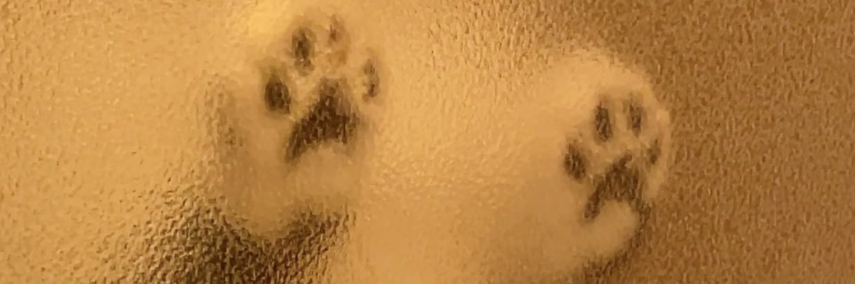 mmeawkatt's profile banner image