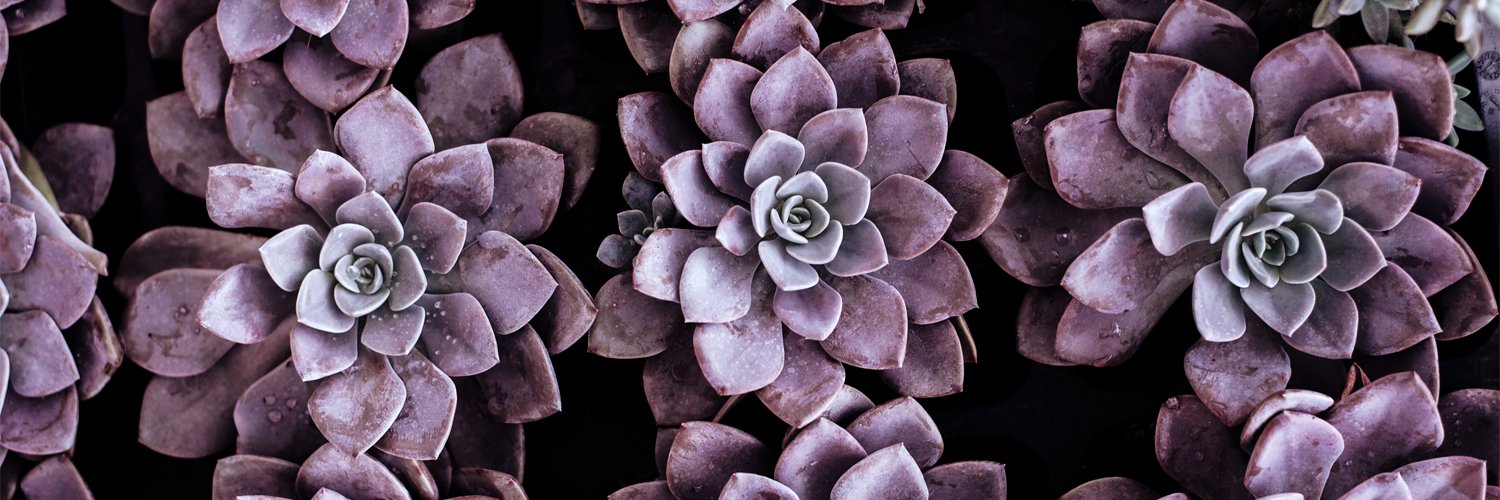PRCTEUS's profile banner image
