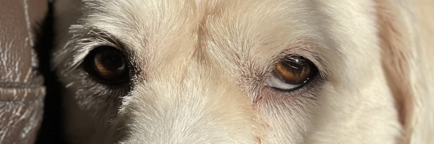 gracebinghamxx's profile banner image