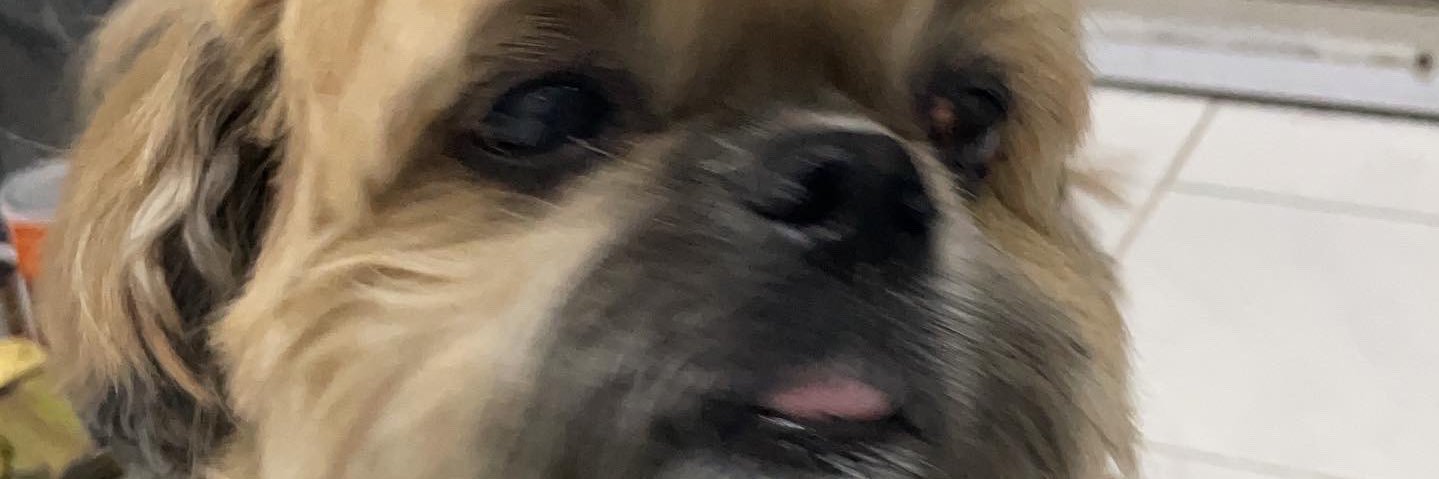 kraarook's profile banner image