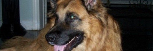 stanleylubinsky's profile banner image