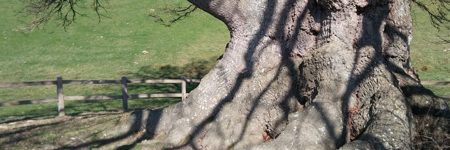 Erramun Martiarena banner