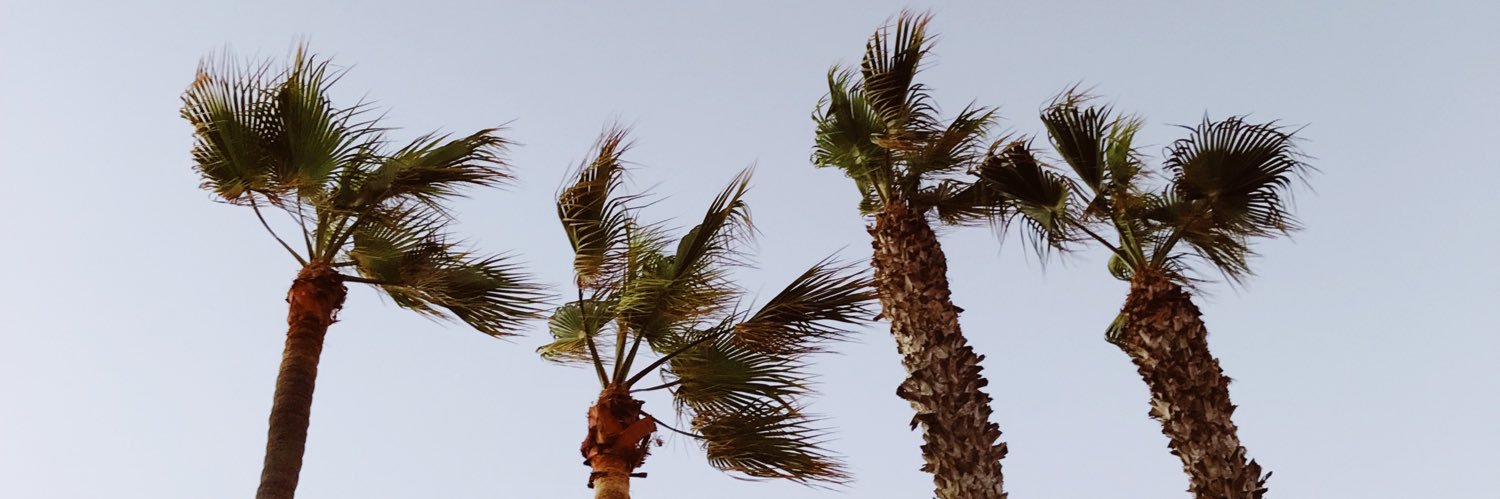 kiaraleaa's profile banner image