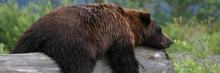 agapinbeing's profile banner image