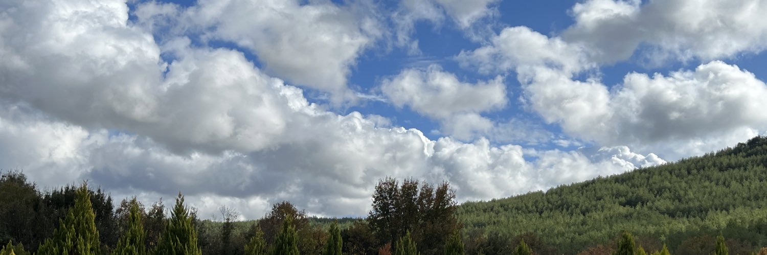 Yard.Doç.Dr.VELİ ÇITIŞLI banner