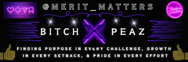 Merit_Matters Profile Banner