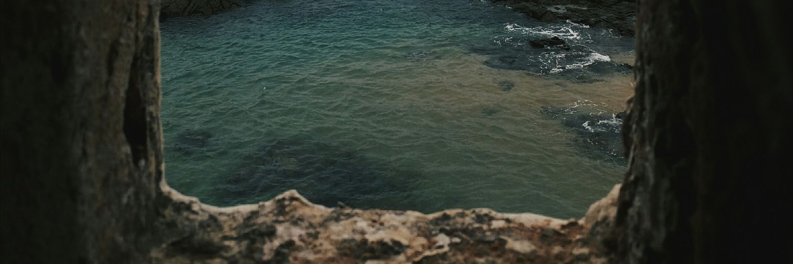 pernetii's profile banner image