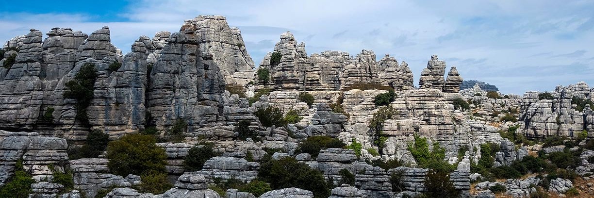 Balec Aldwin 🎮💻🎵🎹🏎🏁 banner