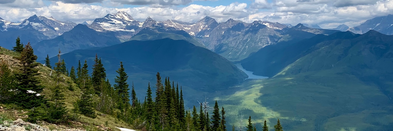 Chelsea Martin PT, DPT, SCS banner