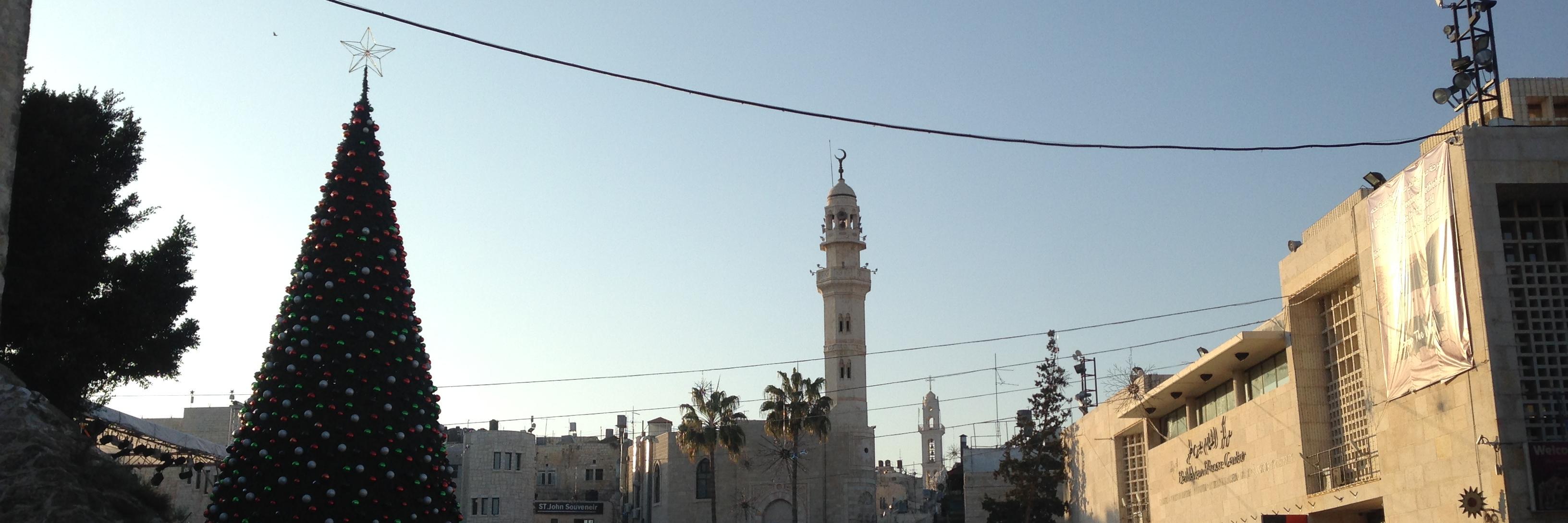 arab_zorro's profile banner image