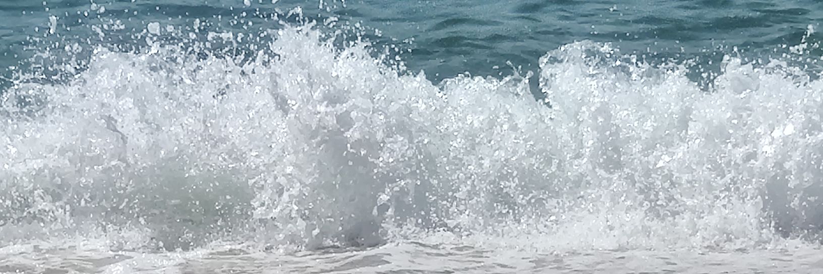 Miguel Noronha banner