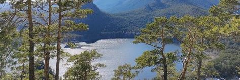 VasyaElf's profile banner image