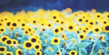msg1p's profile banner image