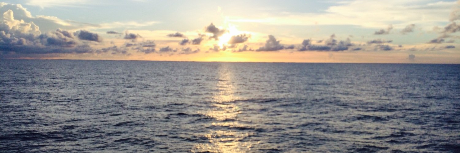 mtleb2011's profile banner image