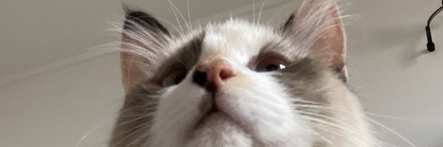 Kiseijuly's profile banner image