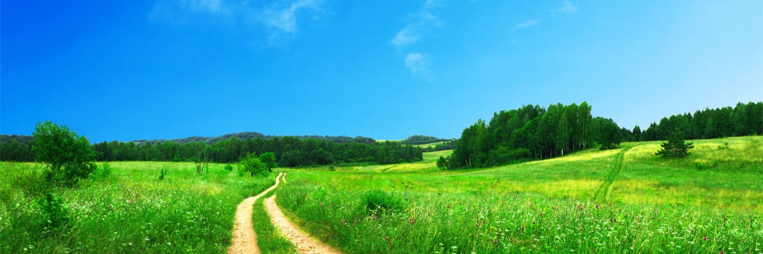 MrsFairySpice's profile banner image