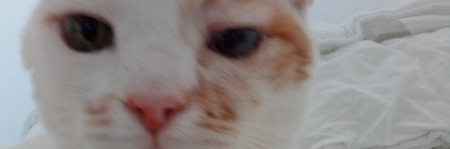 AnneMarie of Austria banner