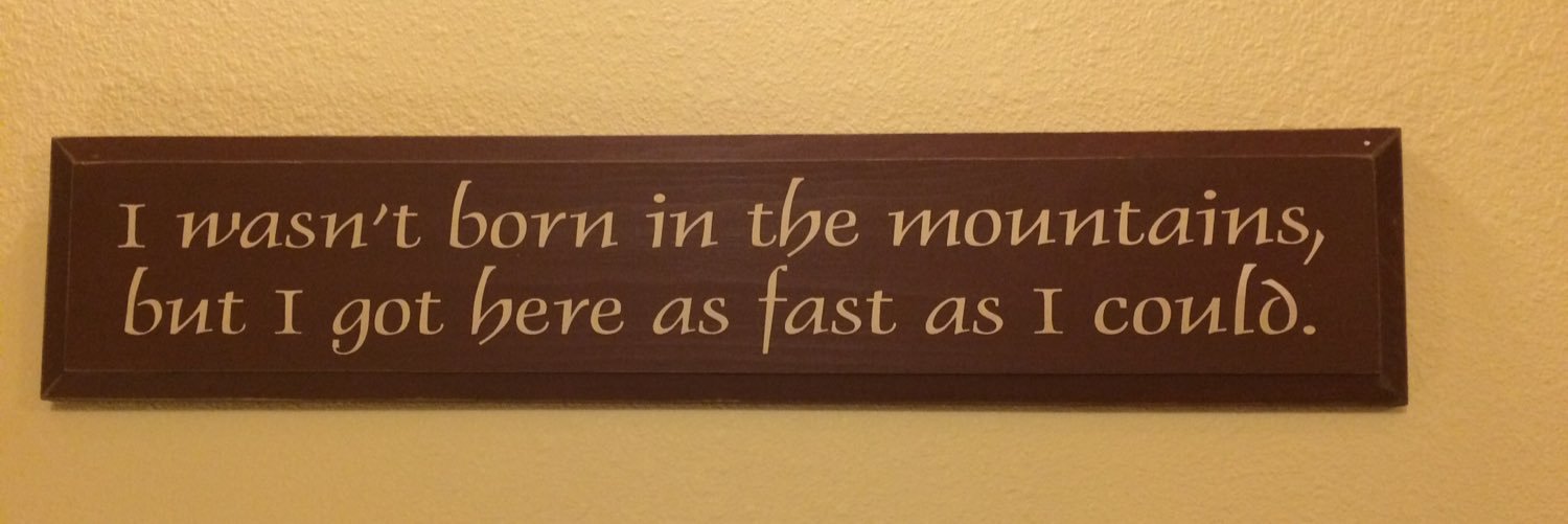 FlaviaOliveiraParks banner