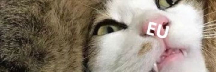 gessixca's profile banner image