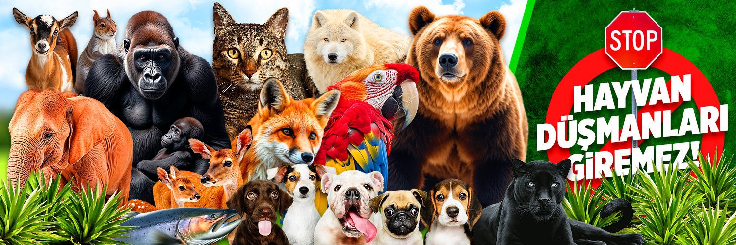mry_gmsbs's profile banner image