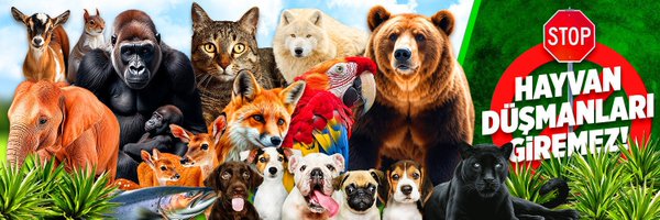 mry_gmsbs Profile Banner