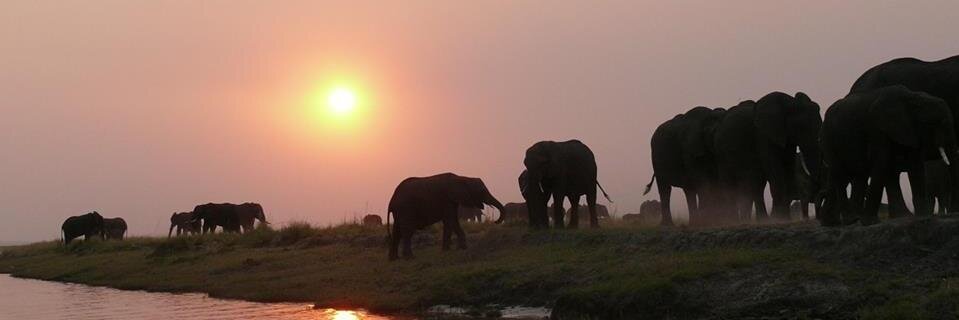 ToursInKenya's profile banner image