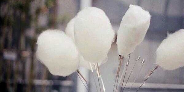 loneli__ness's profile banner image