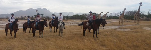 HorsesAtPetes Profile Banner
