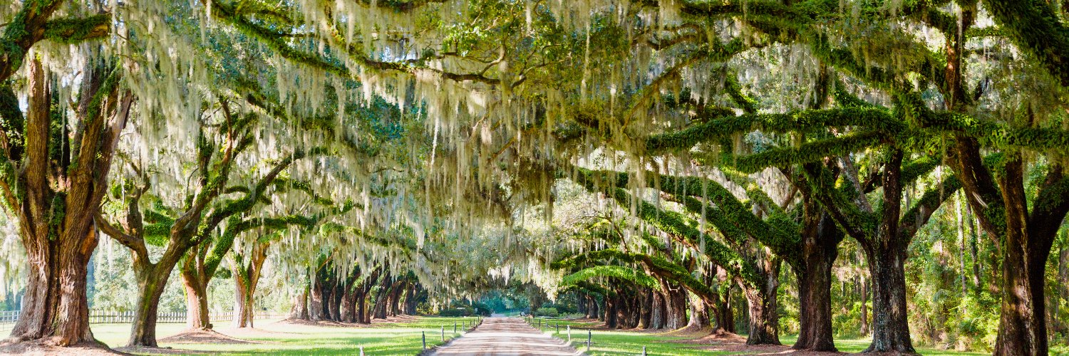 Explore Charleston banner